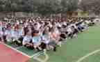 小学语文六年级年度工作总结8篇