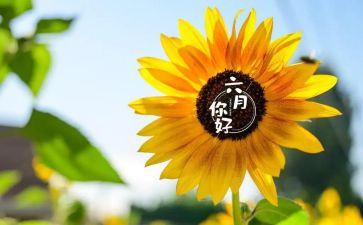 小班六月工作总结8篇