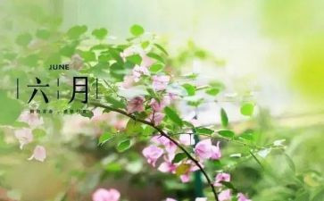 大班六月工作总结8篇