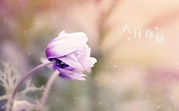幼儿园大班六月工作计划7篇