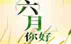 幼儿园中班六月份工作总结5篇