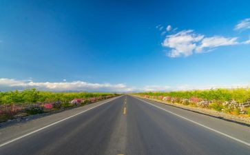 道路交通安全心得体会优质8篇
