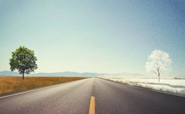 道路交通安全活动总结最新7篇