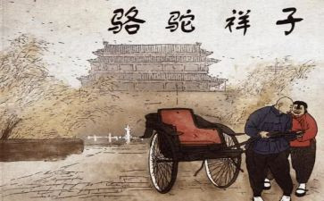 《骆驼祥子》心得体会最新6篇