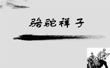 骆驼祥子心得体会300精选7篇