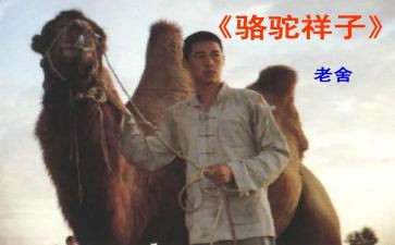 《骆驼》读后感精选8篇