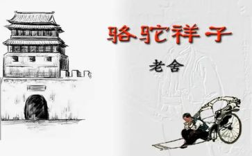 骆驼祥子心得体会300模板6篇