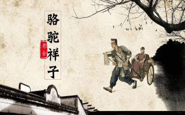 骆驼读书心得体会推荐5篇