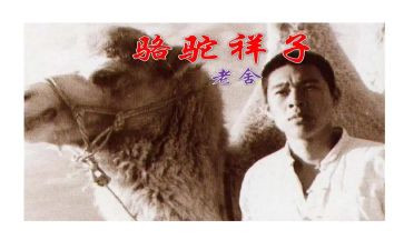 《骆驼》读后感优秀7篇