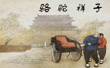 骆驼读书心得体会最新8篇
