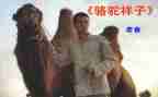 《骆驼》读后感精选8篇