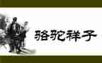 骆驼读书心得体会5篇