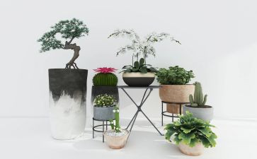 绿化种植合同8篇