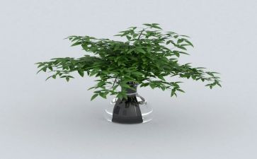 2024年绿色出行宣传活动总结5篇