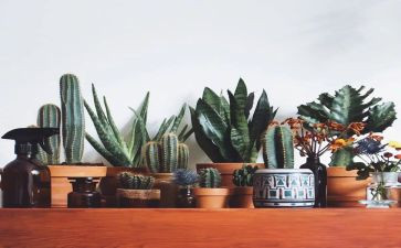 绿色环保心得体会范文5篇
