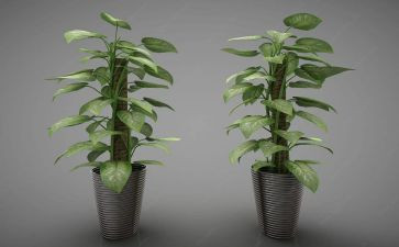 绿化工工作总结范文7篇