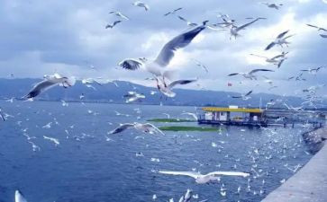大旅游培训心得体会通用5篇