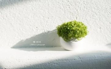 读书要慢作文优质6篇