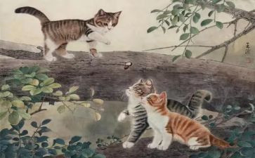 猫王读后感7篇