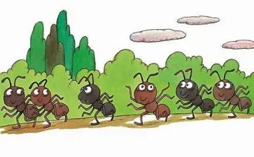 蚂蚁的教学反思推荐7篇