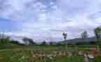 最美丽的风景300字作文5篇