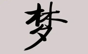 乡村振兴梦心得体会5篇