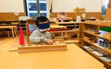 蒙氏一周工作总结模板7篇