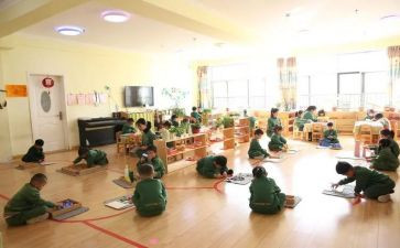 幼儿园蒙氏大班个人总结6篇