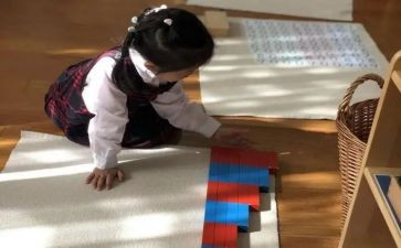 幼儿园蒙氏大班个人总结模板5篇