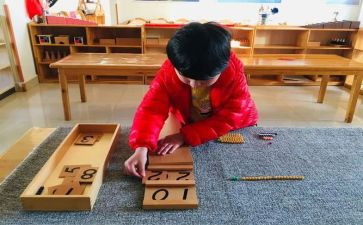 蒙氏班主任工作计划8篇