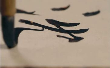 我的青春不迷茫的演讲稿6篇