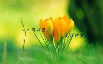 看名人传心得体会最新7篇