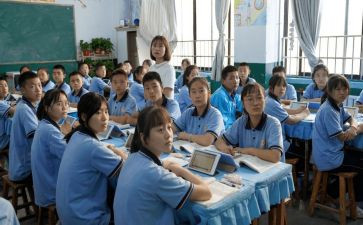 二年级语文网课教学总结8篇
