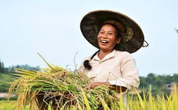 农民增收调研报告6篇