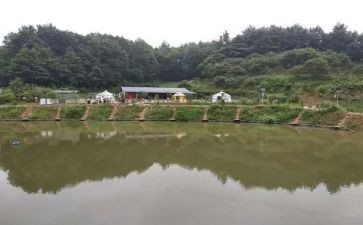 写农庄的作文7篇