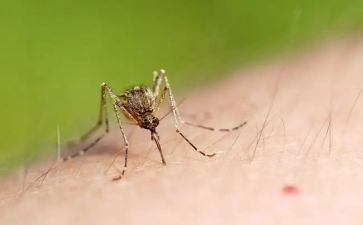 疟疾日宣传活动总结5篇