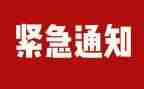 图书排查自查报告最新6篇