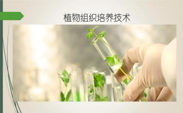 教师三培养心得体会7篇
