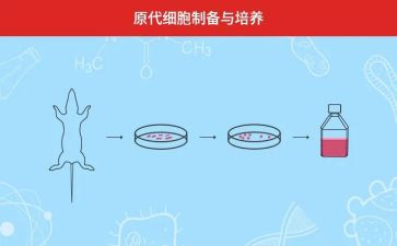 双培养活动总结6篇