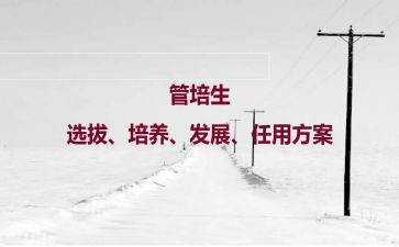 人才培养方案范文6篇