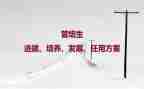 人才培养方案范文6篇