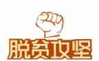脱贫攻坚心得体会800字6篇