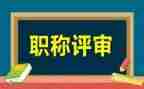 职称评审工作总结个人总结最新5篇