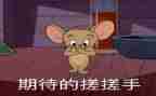 我期待的我作文600字模板5篇