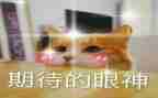关于期待的作文推荐7篇