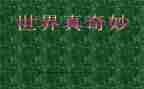 奇妙的大自然作文模板8篇
