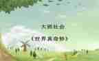 奇妙的大自然作文8篇