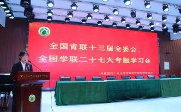 致全国青联十三届心得体会8篇