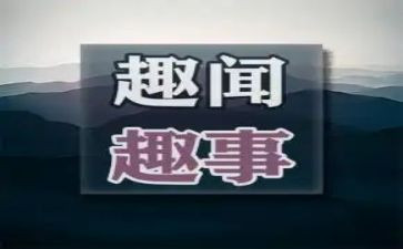 国庆趣事作文优秀作文5篇