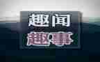 国庆趣事作文优秀作文5篇